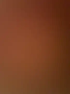 DarkfleX webcam
