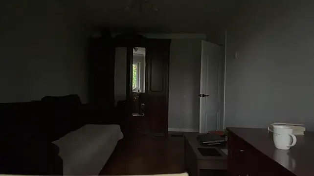 AlinaFinalgon