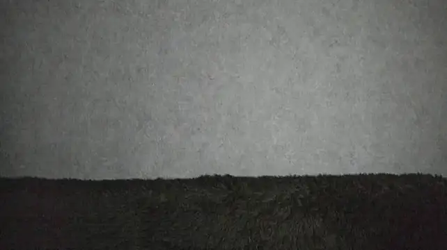angelica_marquise