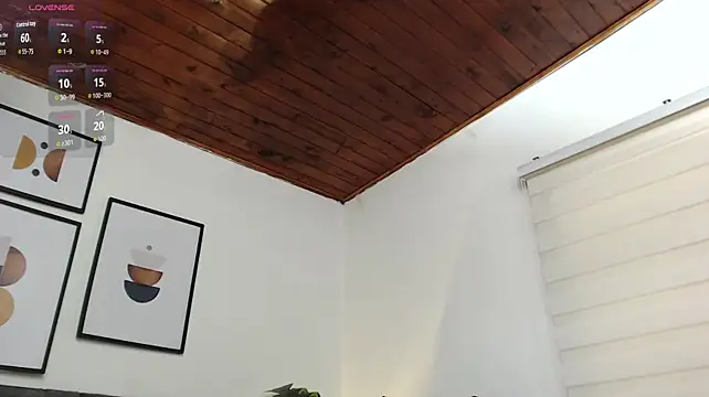 samy_l webcam