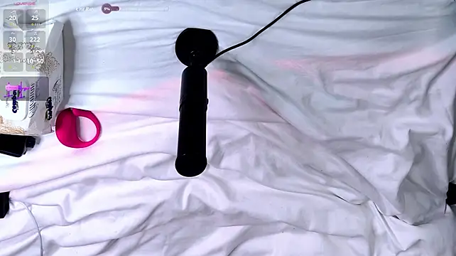 EvaaLane webcam
