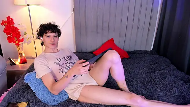 Perceo_moon26 webcam
