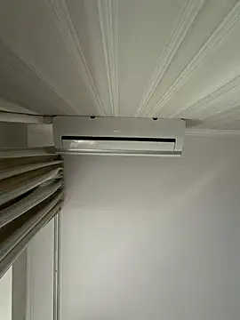 Frosl webcam