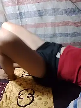 doggy-00 webcam