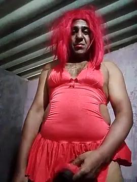 putaopragora webcam