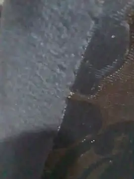 nanynou webcam