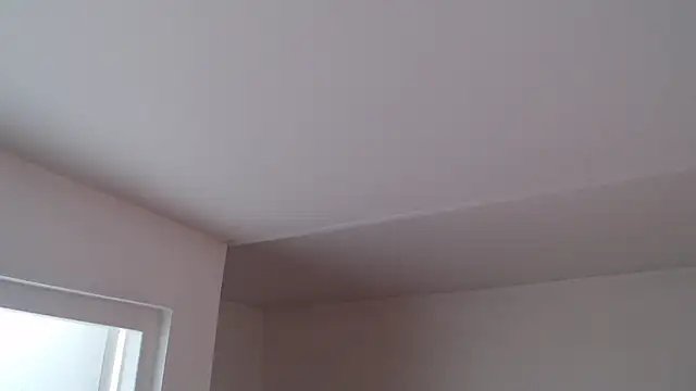 Aronbbc webcam