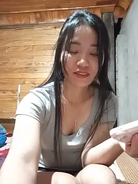 Td3di