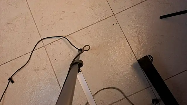 Wendy_li webcam