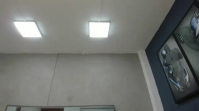 Charlie___Musk