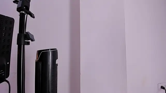 AmelieCrow webcam