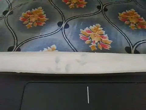 PrettyLee1 webcam
