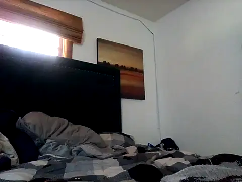 Blkstylion webcam