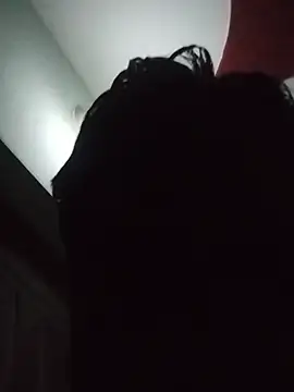 Foxboy65 webcam