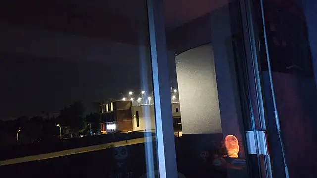panda_06200 webcam
