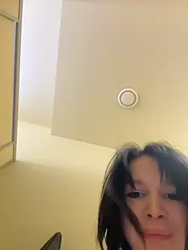 MietteDream