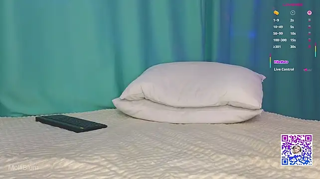 Molliblum webcam