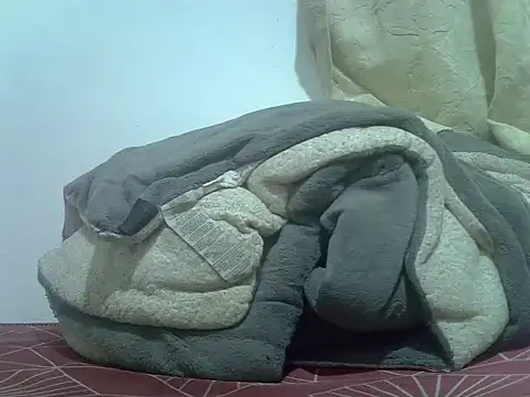 Jaisy2 webcam