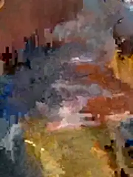 auds08 webcam