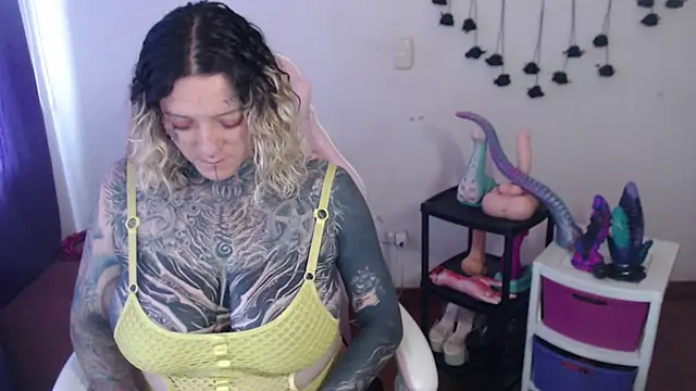SLOPPYTITSS webcam