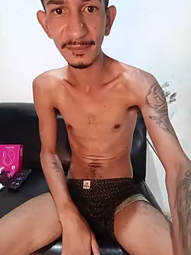 OCamBoy webcam