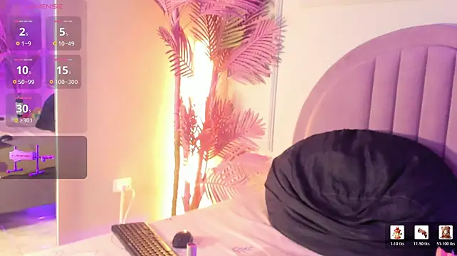 Nalapalmer webcam