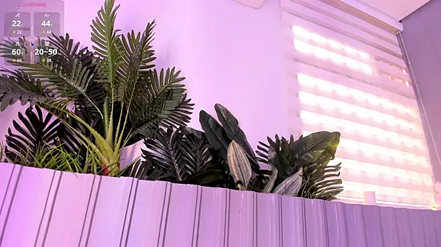 stephanymonroe webcam