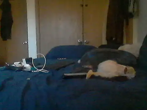 Silencio26 webcam