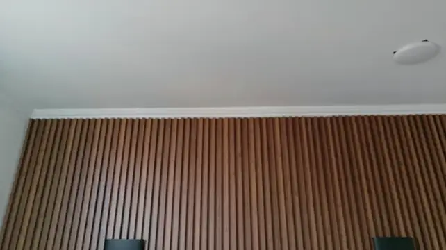 feeleena_mysoul webcam