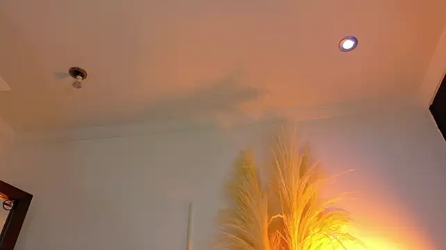 Geneesisxxx webcam