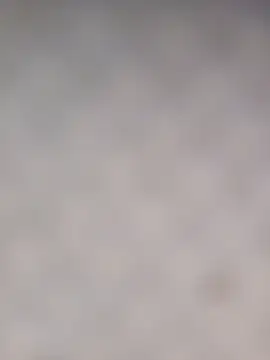 pauloandres