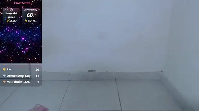 Cherry_vald webcam