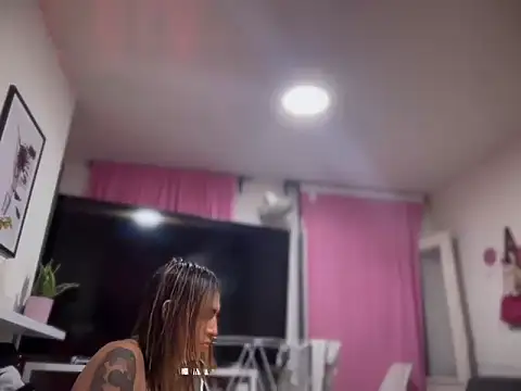 SOPHIAXL webcam