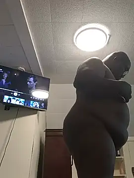 Randyable webcam
