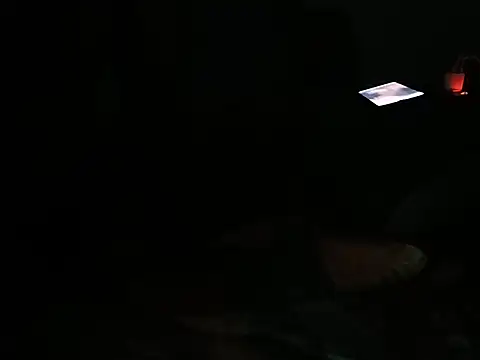 Vishalanmelaka live cam on StripChat