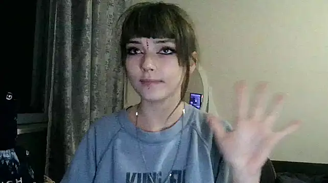 Lisssaura webcam