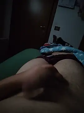 DUDU00011 webcam