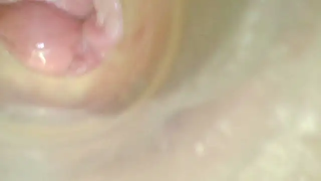 karol_stom