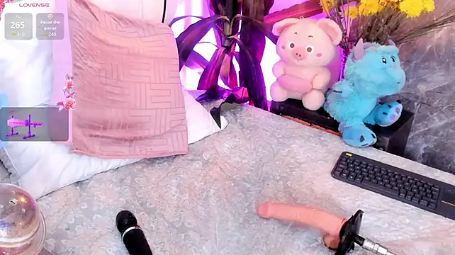 Meg_Stein