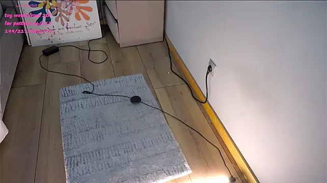 HermaFrain webcam