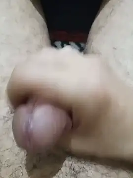 flokiflo