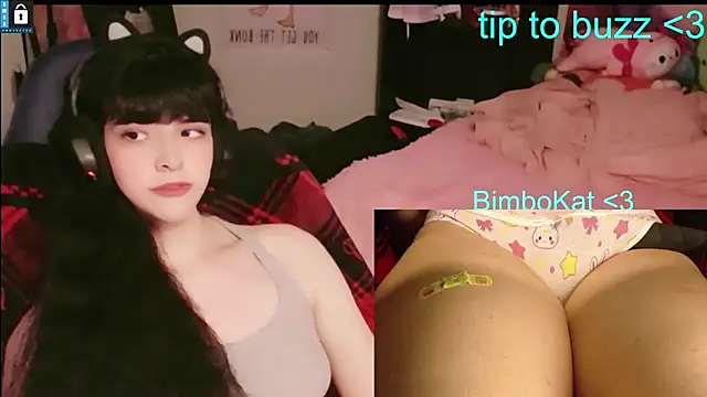 BimboCat webcam
