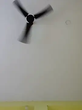 Minakshi-Gi webcam