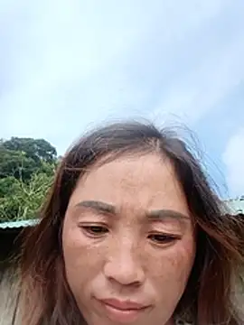 seacyre webcam