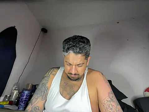 Vision1285 webcam