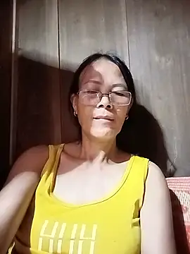 toyo_668 webcam