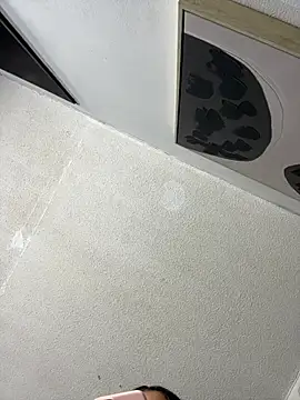 AdaPink_ webcam