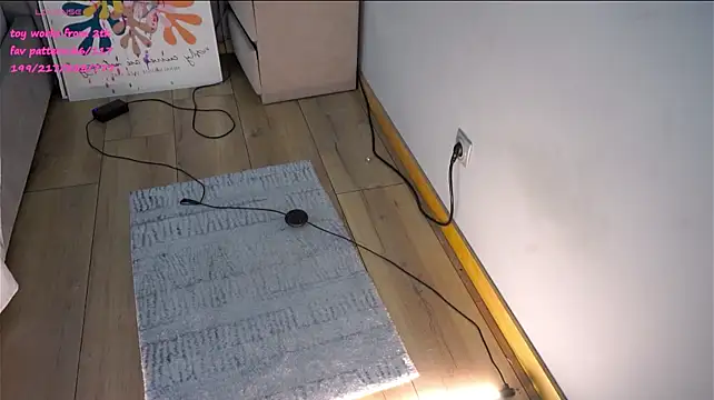 HermaFrain webcam