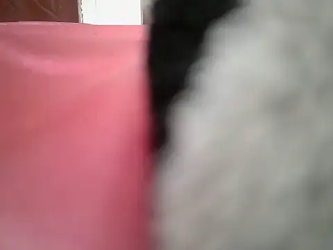 Queenb_2