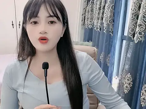 sjsibi